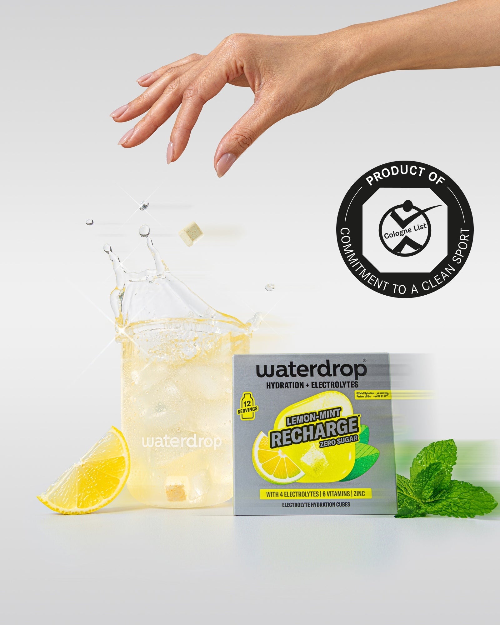 LEMON-MINT RECHARGE